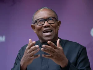 Peter Obi speaking at an event, discussing ADC decision post-Anambra gubernatorial election.